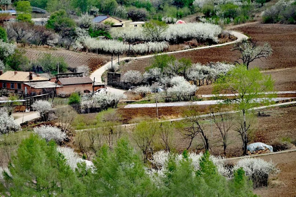 R49ETQ8drH1t3jGDp_btXxFGCB3YKkT5J_UKgqxWYs47Bg9hn9tK_NGCgVT6XlaF