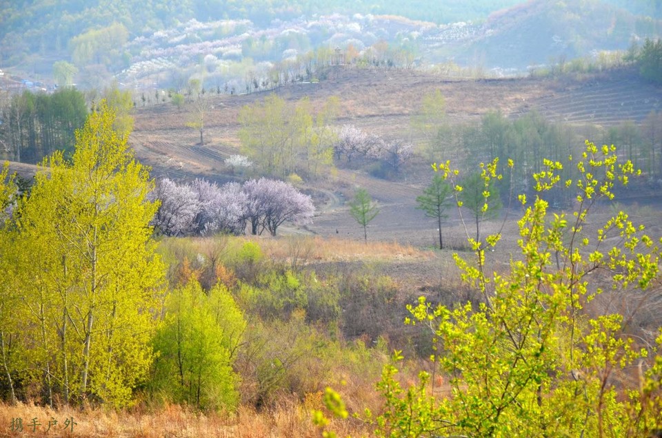 TwwDquIUY8Y3A43LXvkzAVLPIua1Adkg1NdewizlQ9IvhLf29dgUuoMTo6BXr_CB