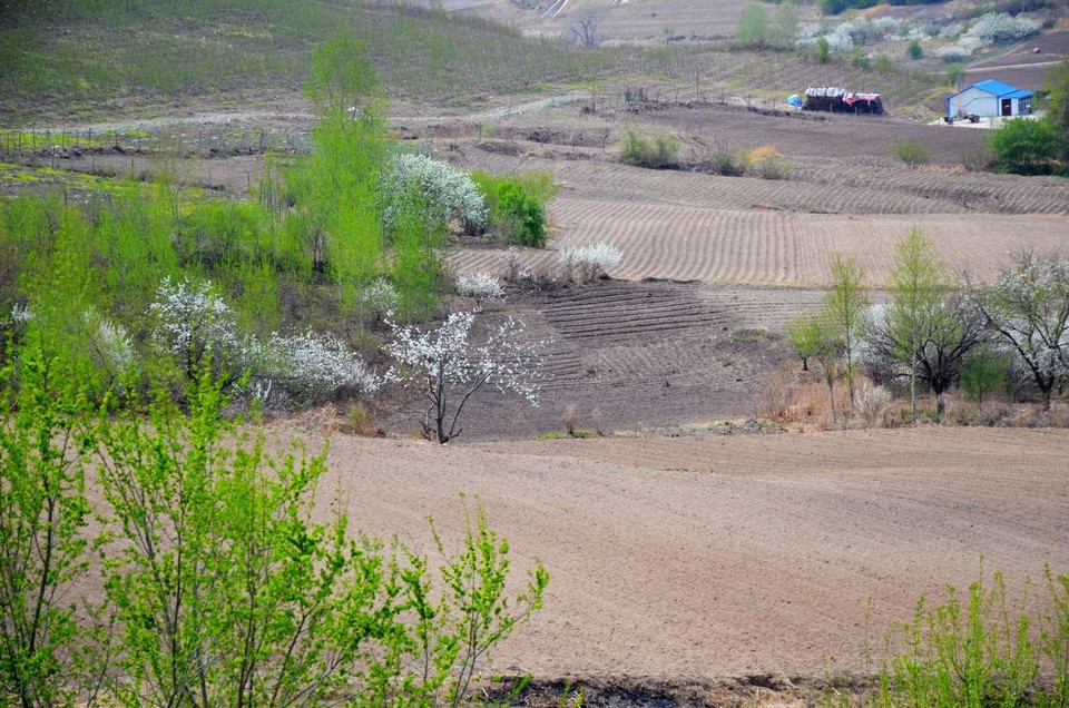 CFTPD-9WK2Y1yJ9y9gP_aYD3UhdbDt50a2vbpa9zjte0FJCL90EMkTWhdsb0tXRq