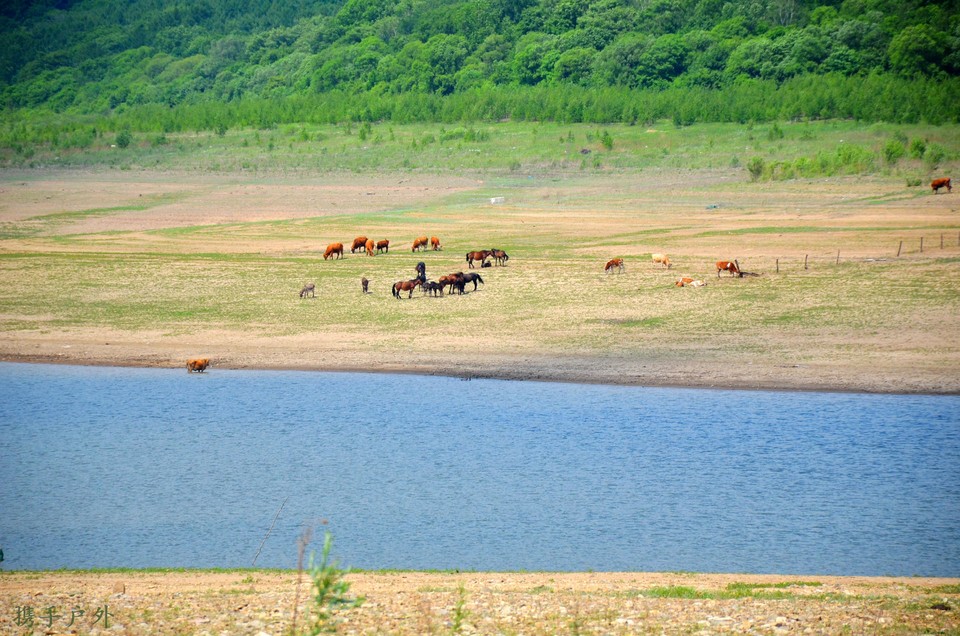 GrcRfOyI2PeZDG6nF9H7OLX8Wwy1C-lZ_B-RLOy8O9lqxpSr5v5xhFSj2iCarRXk