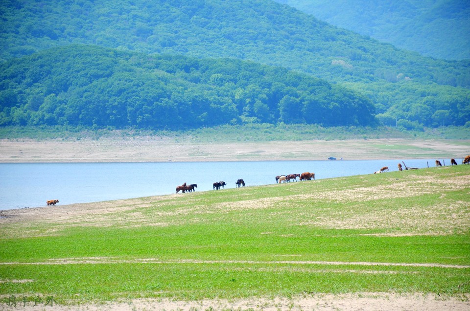 aNqCFRR-EqA3U6nQuoreLf7TR3pqa6ps6mG-TOagPYRjASYszQQ1fX5GXT_ORgia