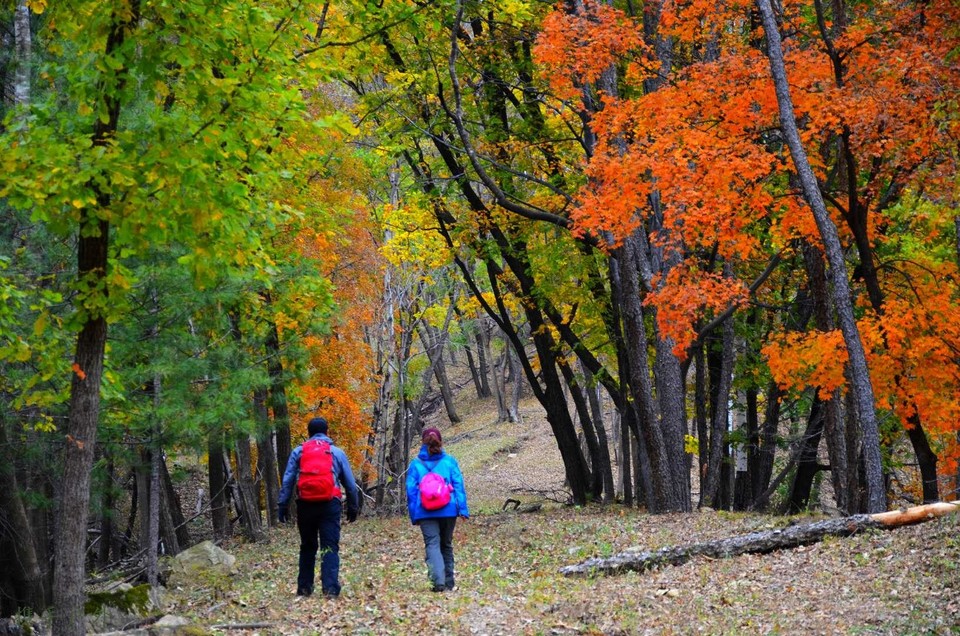 meAadIQrlma0yPKPFANB0JJFk1wcxfO3UtOzCmNPsmihjL4872NAsx14uLt62N0T