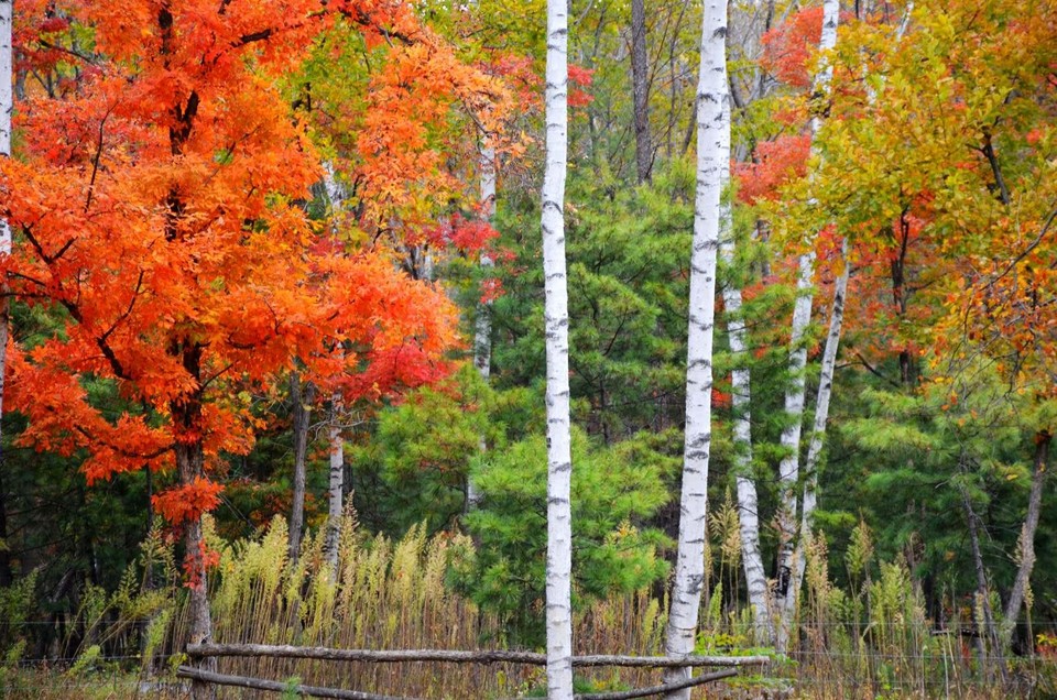 bjJIGn6fx7FrbyQOFMnGnNKCcOveIxDQGhnQ1B-ZY4na1lAy6bKclmLZRv9Ln3vR