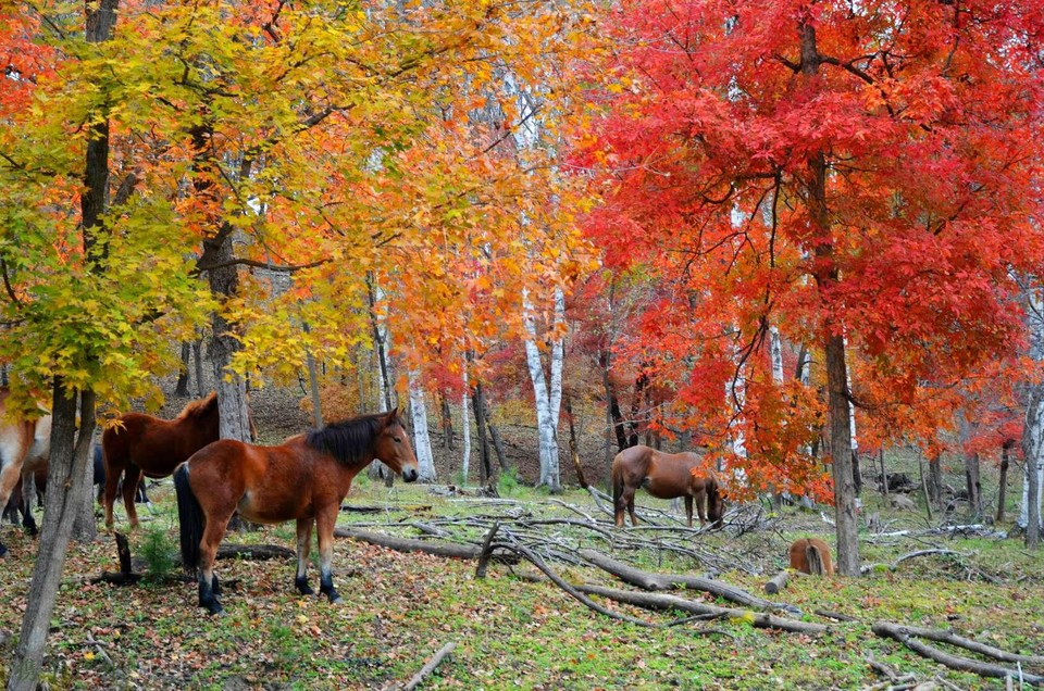 zQkIdr1U9IgjjzASPLyCduhY9z2lJ8tbURc9i5xnv4eQqdyy01SOth0PXIik6SPx