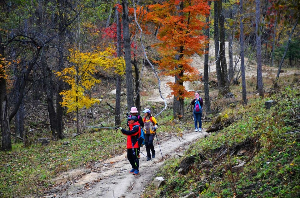 N8z1l6msB5CQ1m09wQzzYjM_sAJtZerMvFjcUWNB1xibYfLBtX-tvfDTrKYhvsDh