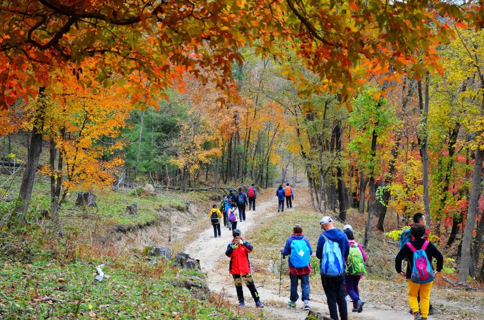 skitaSTwTtOCZl-TzTozcvQbO2IoDW63E5NDwDJCLPYvNAdJ4YOllOdzOT7vOu_4