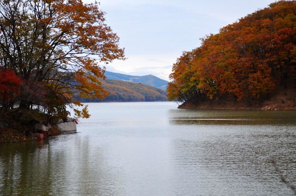 6NIxc0fwa-Ln3AYNoK5al_9ZXy80fcxRtdd8D575CaumUYMPViMaBaEJVEgBq8ZU