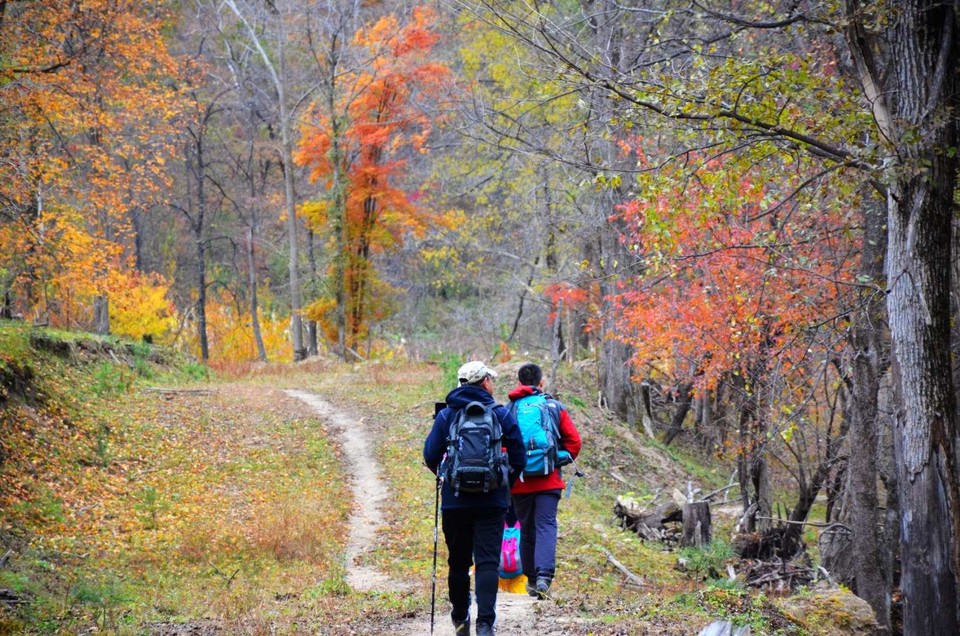 OAnFtwan_x2v1Q6UFiA4dggzmJMZeEgdg2NJJxKPJkyK5i53sbpCOQ9VwDbEAbnt