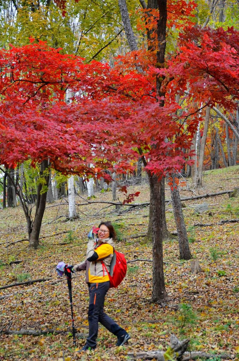 4op4ySKGCPIYUBSLsZtXhpSwjfdGG1pcikTBLHmH1Eryd2oggvZCFTFYZpc7OBmX