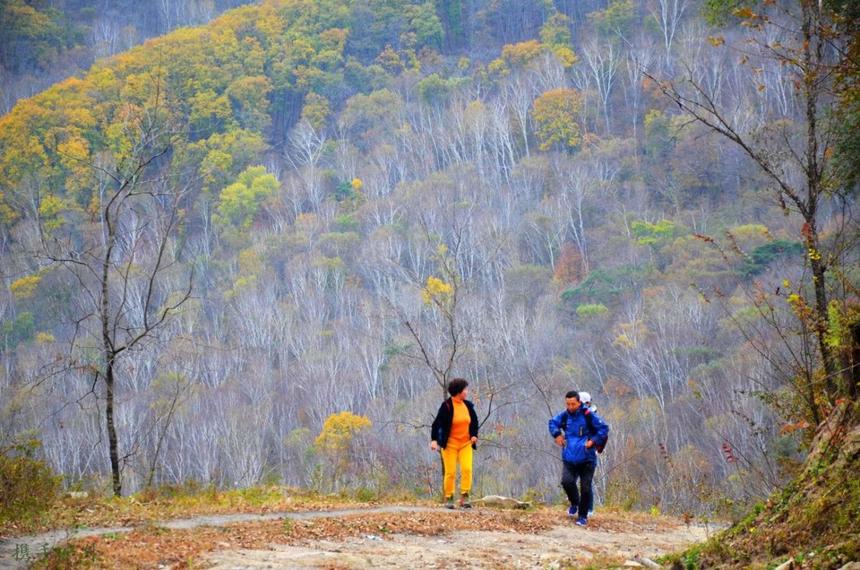 XliOYf9869f_7kurMboIMOEwt6wZKpFC9fpEDGXNVeGy8LlWdZ3tTEYRokVz-oTG