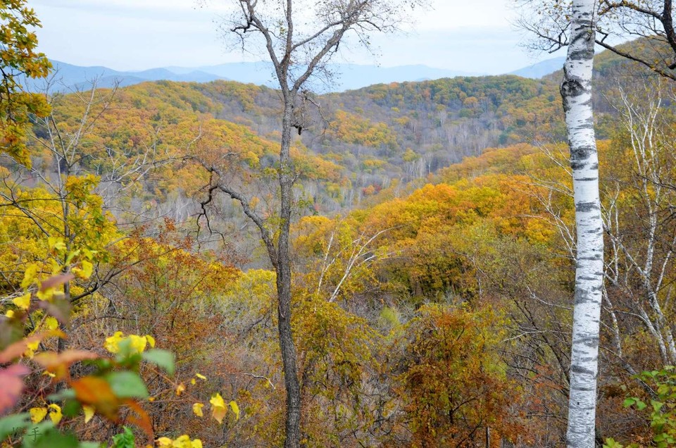 rb5C0hCLNCL89tJHiybAsazO9kIrLh9oBTjaqwfS2MMBdrC-EjqRJSOcUfhQteAt