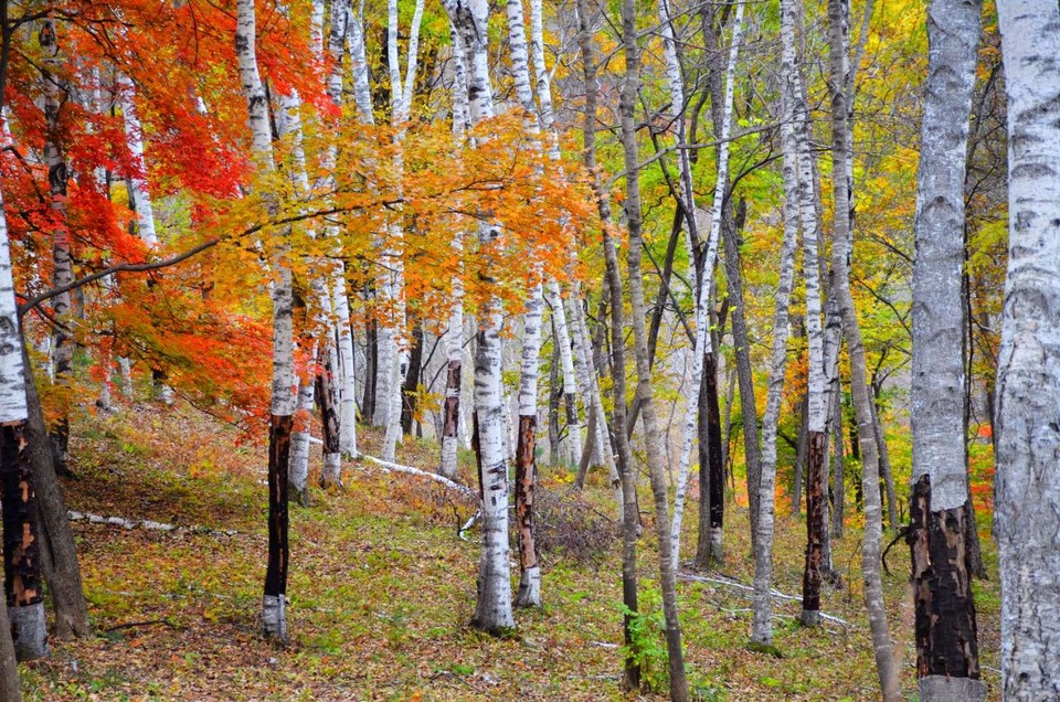 tHy9x4JloulgzPOZUjlbfYSD7YE_30357IAnIGCY00K-V8hqdBvTSd4AkB3znkJE