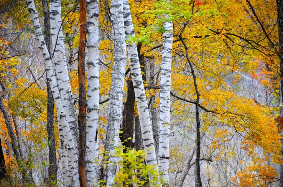 jb-CDVHdVbqwBdg6SuioqtqujmPlQLmxRoTotJgO7shdKvFfWpsExlxEv4RzL0nC