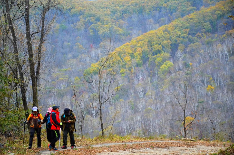 oAFoVFG97NDA7zYDfDOratKsijWxSvinoG26Co65OCr6xSFCfac4HsWoEuTGI7bZ