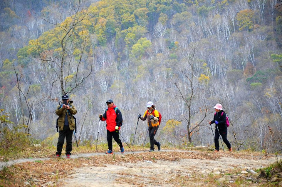 b2Ff16OcPQlpw-n3N00Zb2dBLSLOrofi03Xe_K32VxtDYLGu-t-ZsZv54qD7i7-A