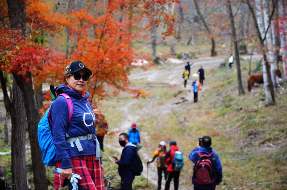 VRWwSiYgIBntZcsoEynW8n9M9VmWxUDPvFmQ6-Af4L8Nlpill-mQXcphmOl8oLeF