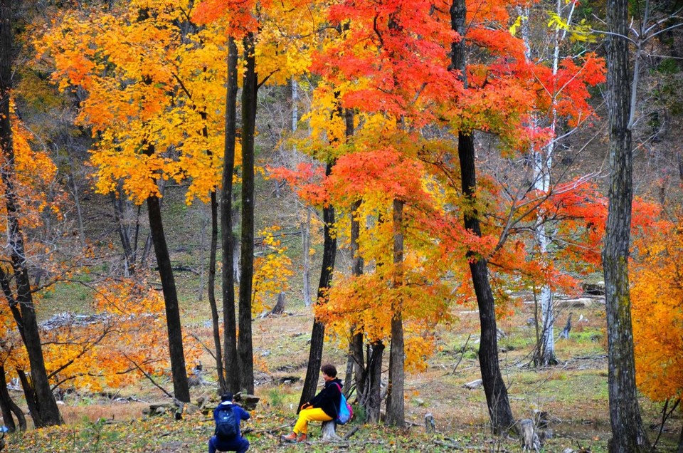 J8fPKvMcocS3LfTULyUm4I2dUNa2U1-UAg-zQ6K1u7rojDtXx2Jb5OumnDe1KZqe