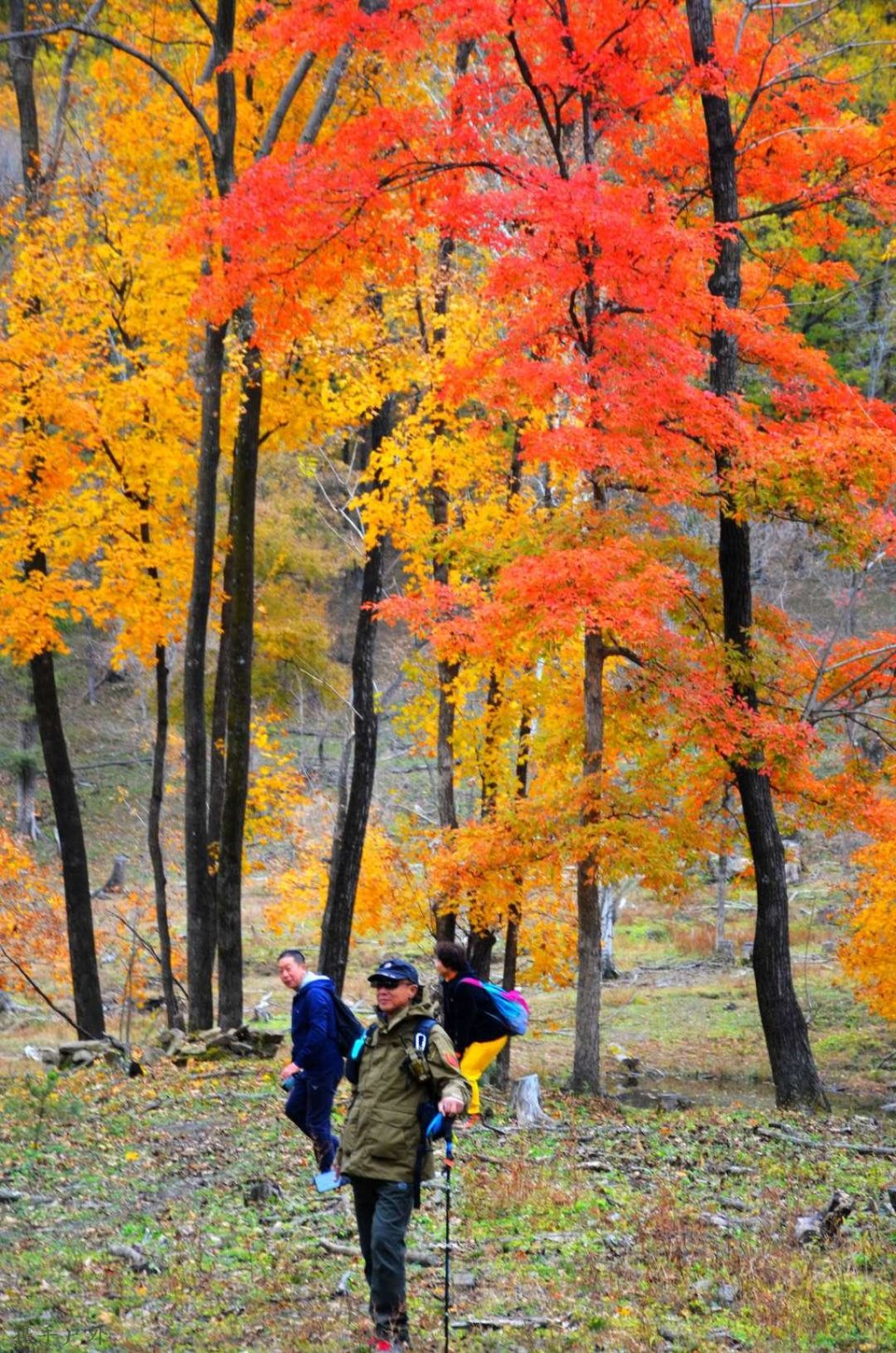 o5Gn54Az62ghku1GHd1aXIEmxjt7FuwtLIlofhhDSQpqOx8Oeo3aPnPLwrIyo8cu