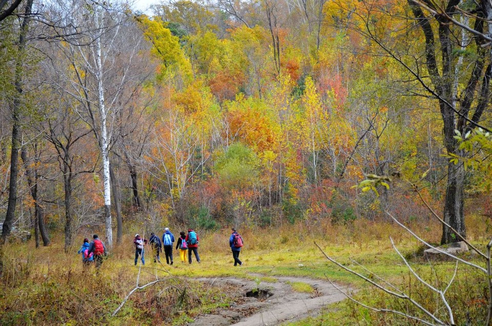 lSv1cIoKScfh6Dq_APVqCD0ztMN4EvR4fIlVCYeqpkzihkylW-dJhEfh8tZVWVDv