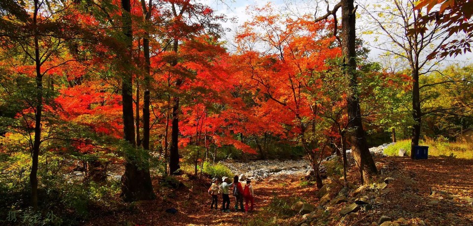 zpBgCrC8l8koE9uCYQgIQ4zjMI-nditazAhhqQqlLnIw_HNPOYsUhrU7S2c4fpAH