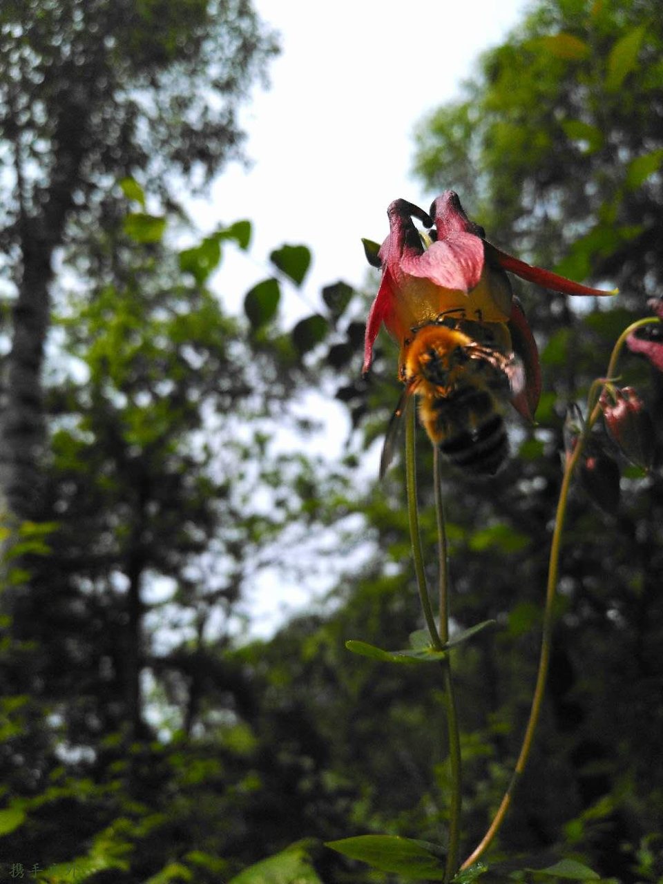 w5x1GB8yBFBCon7COjo24ZyE1z6MKi1ATGW0MvPq_RldOenTQRH9qUb0xcl1p0td