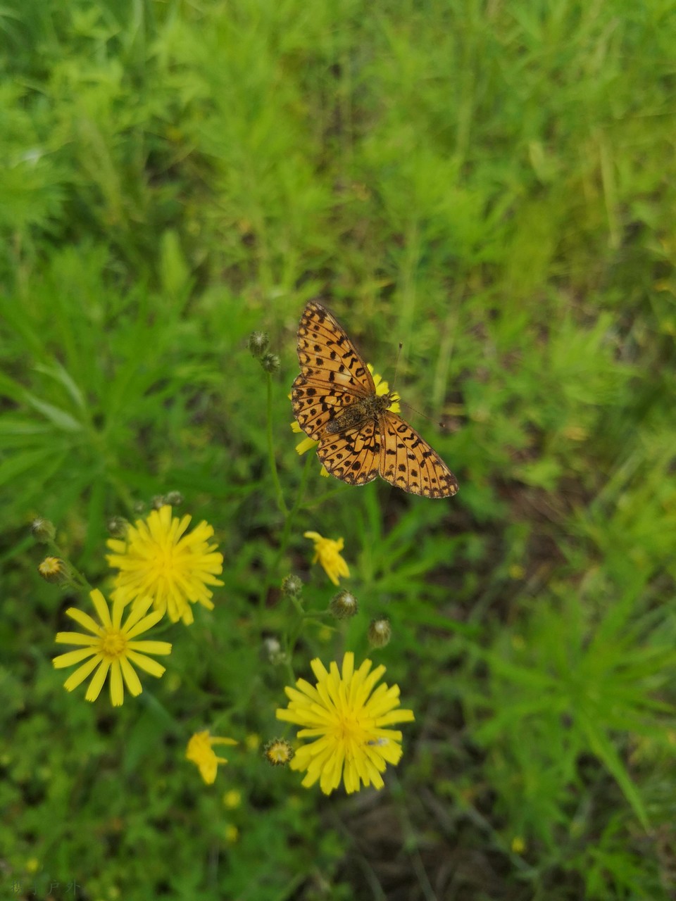 Mv68LgEzy6GeKifpuvCQBbs2RviNQVw6sWhwSazJh5NM01P0zhLmoRnHrI0R374p