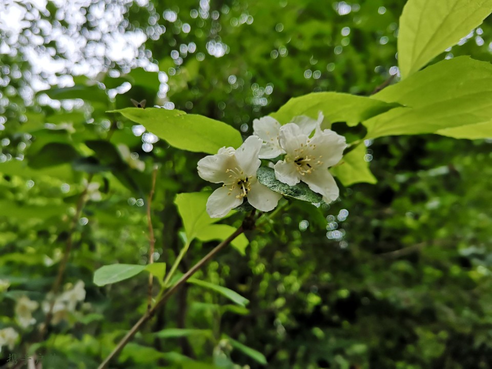 hpaOzqCpx19-hU29eCg-eVi3Lliq3p6g0fZFdJrHFk3NXdAb0pg-9LFnMqEEenRw