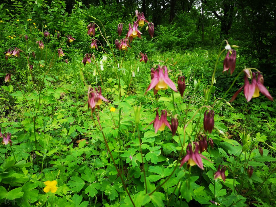 jR3BkRat7Vgx4olMCzPsJawVN3draN3S6wp_Ql2zxlMjCHxM1IArNz3nlx4INmtt