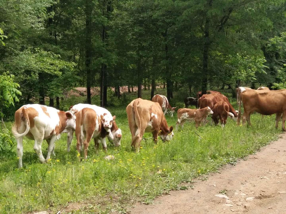 COcg6miZTGqmKfLnWvarKbB_HLiyn4nIDOt5NieOQuR7XvbcnvgzMJhDvvojfAMS