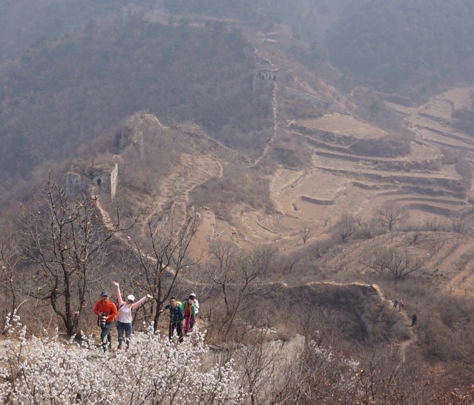 B188A736-CC5A-4C00-A0F7-9E690E1E6765