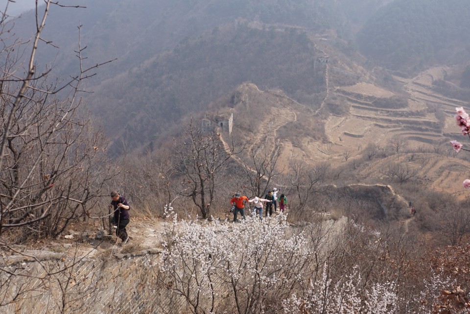 2D1C2967-082E-49C7-A415-C8ACE54866C4