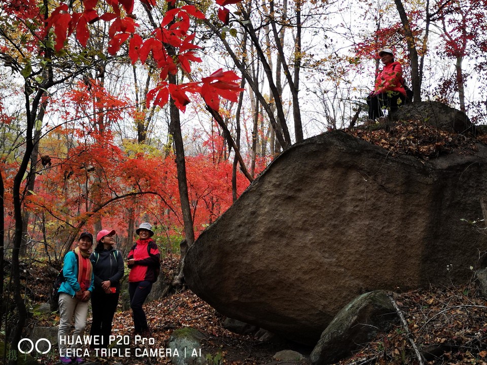 xWkIPpiiiCp3tNE--BcVW3BqFA_PVsWqvEwbmMoUQH-HMGf4E5Qk-pb9VEZo7UFI