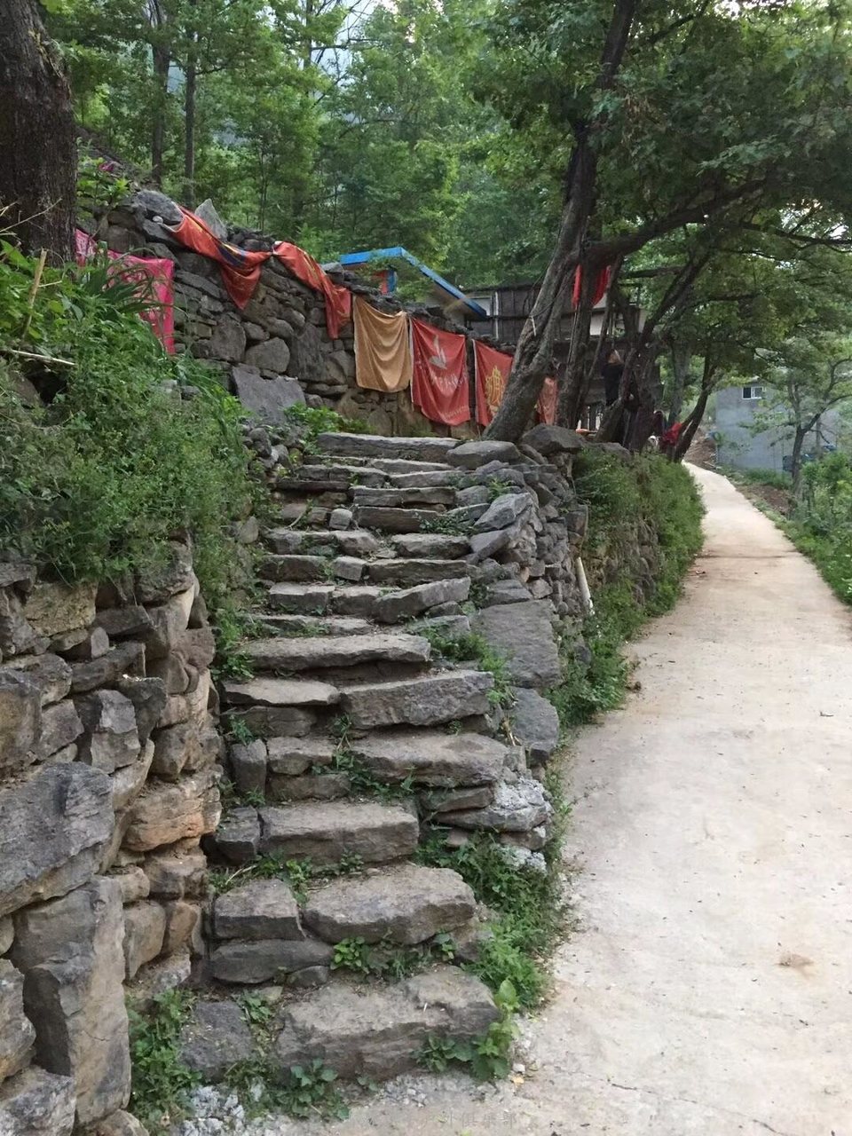 mmexport1525815637972