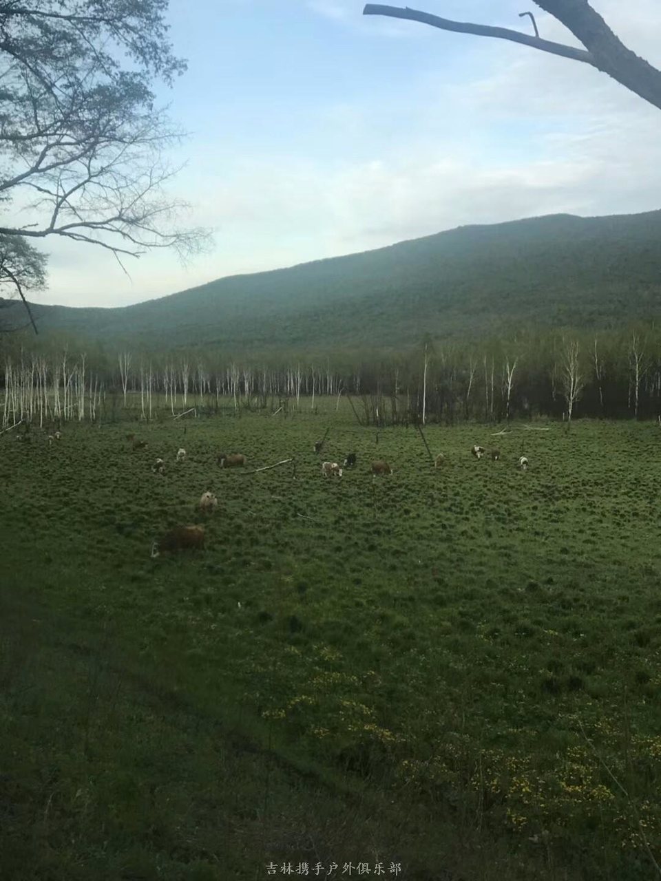 mmexport1526880311001