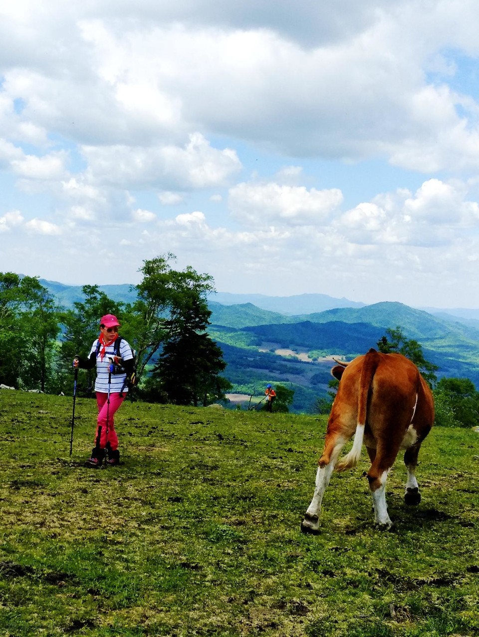 P90601-113340_副本_副本