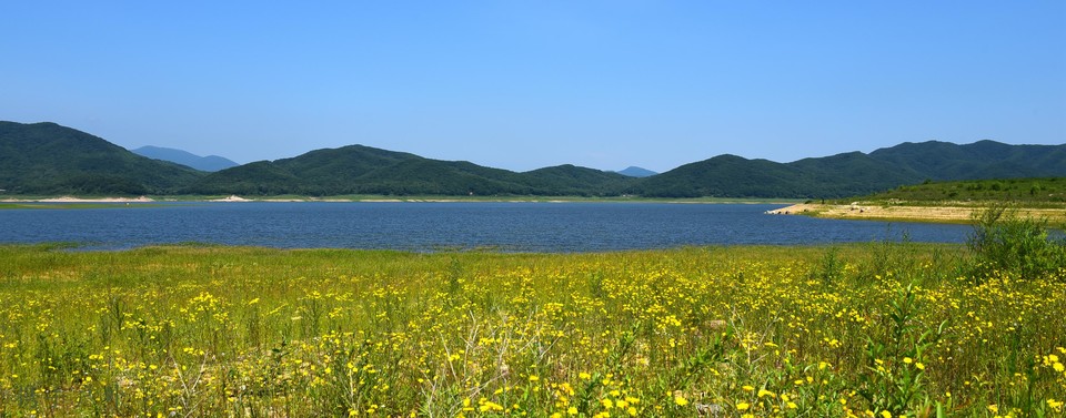 DSC_3406_副本_副本