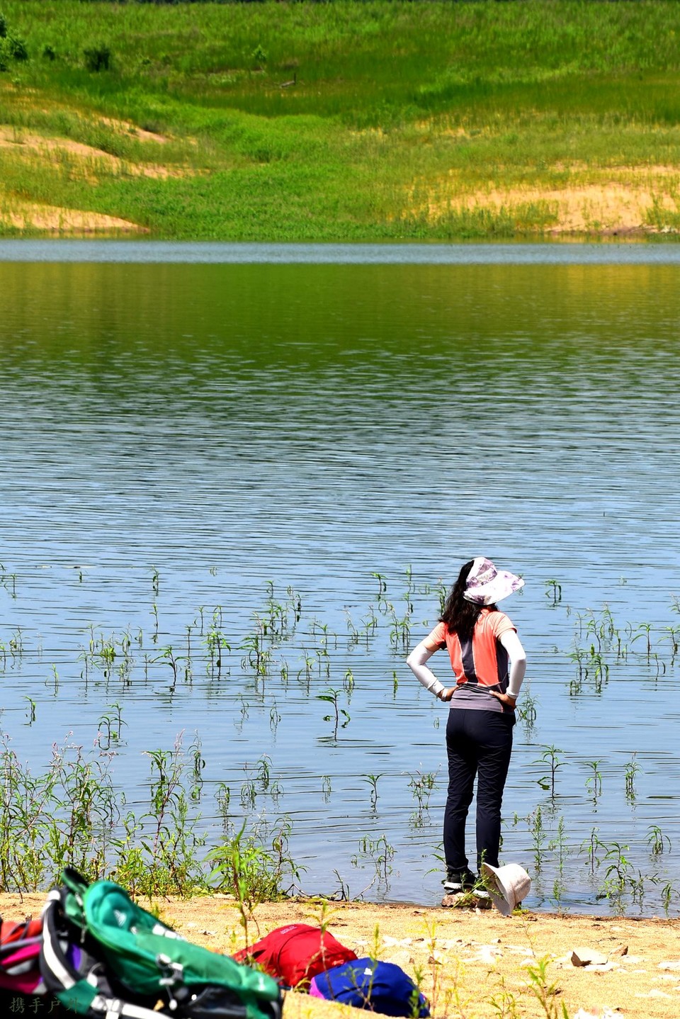 DSC_3666_副本_副本