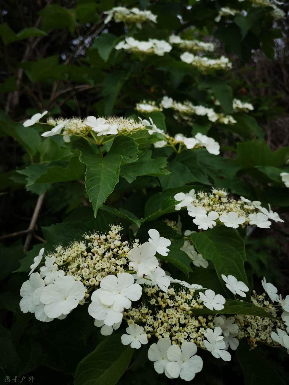 tzOOZMsuD4jr98NIxSxUaORhEOmCqAeyZHAfP6Yr3AXIj-hUhYd-ZI6WUzIQ6zSF