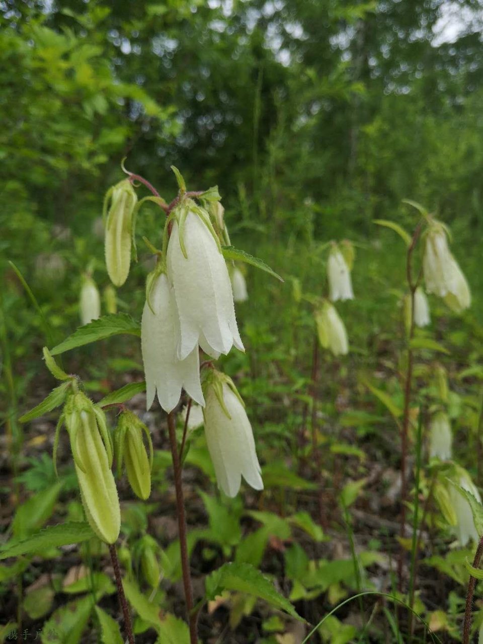 WV5khMwNEUG9Mewf-30D0MwlNrhqIQO3XgJwyrI2McV5CmHjuwVNMoY91Q3L2RTF