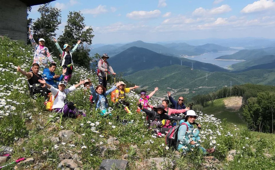 大青山穿越赏野百合