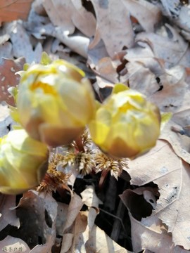 -I4LEF_TdzA7MBkaomMic4lML779buVMQYkJOqJjq-C9w6-RNHjATgu0ttcixhJc