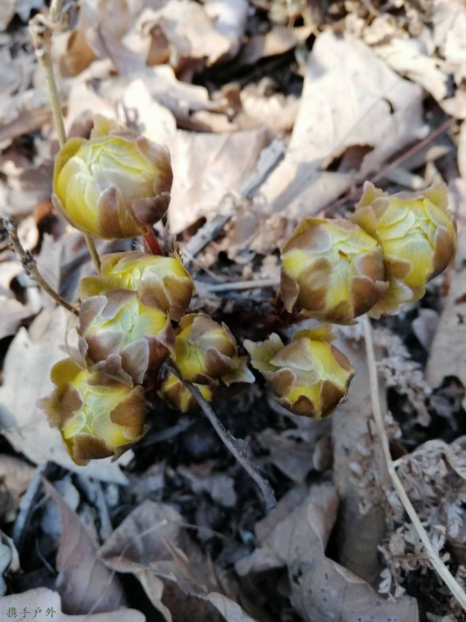 P-QdFPgF0D99R-Qd5-rxHAnog1Ze8N7coqQsKc_Mop64EoVfueG2AJHPFg8KXN12