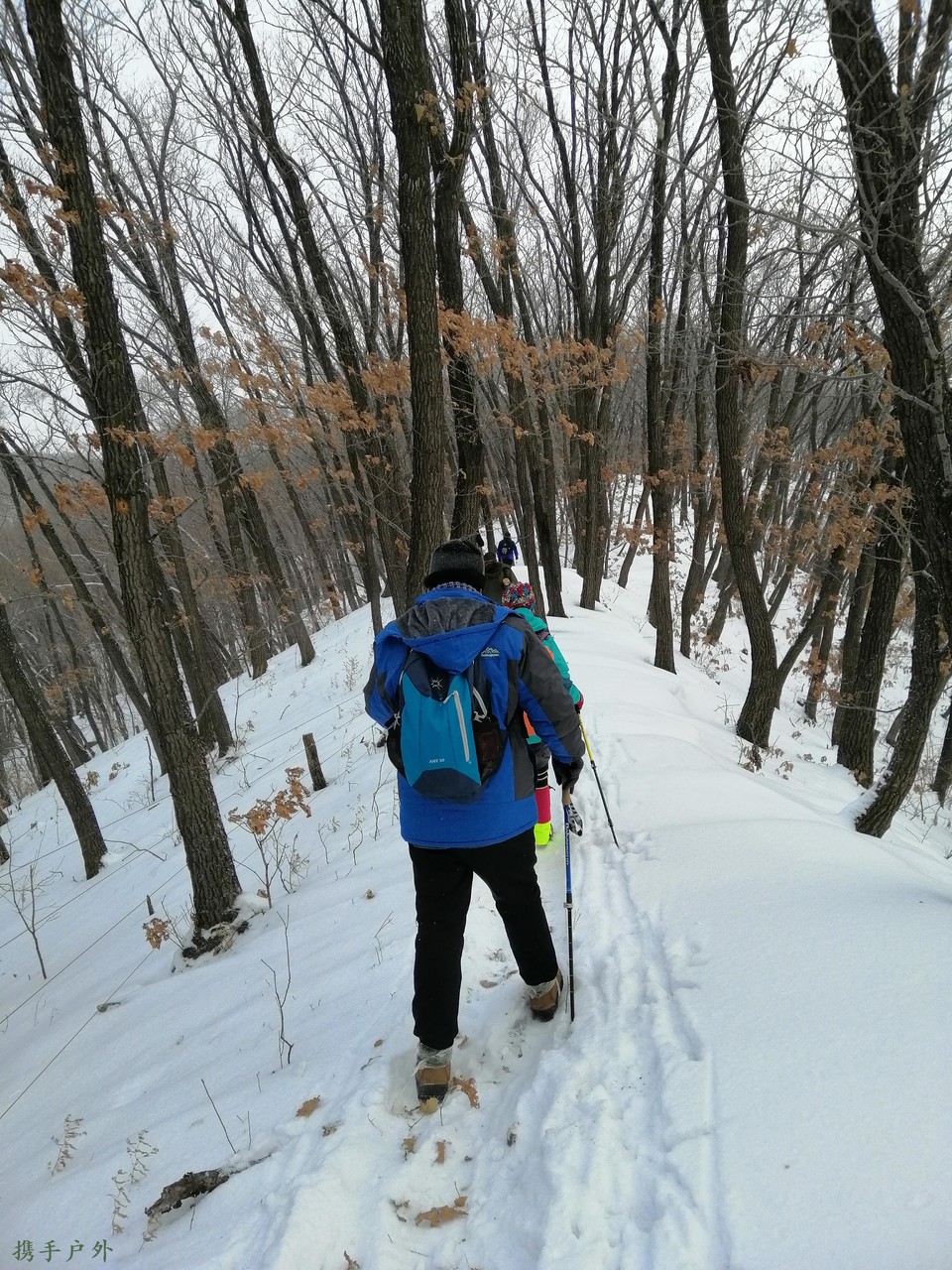 lup908ECxd1P97Vog3WoyeiyJXZX14n5V0bRBDFw0A8aMKmSEyAVj4OxOjdED5ZD