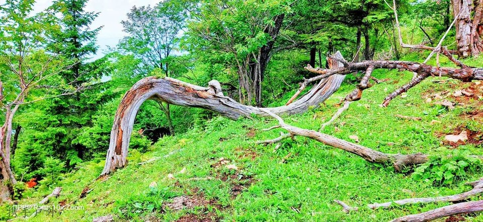 PxxEdrINgxeB0wXRdw45nuCFybs2f4NBq-GfuOtCZeErU4w9V1JXySZAzCbuZF_S