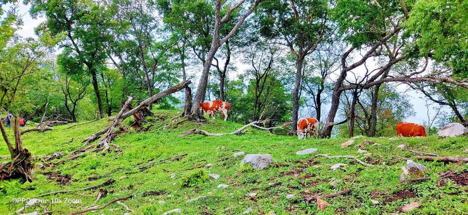 rl_vg61imzZvbUv7Isc8B1Vg4YdAQ5zAg7rTt5vkfSz_G7Nh9Pf24gXyFvY5Zv6_