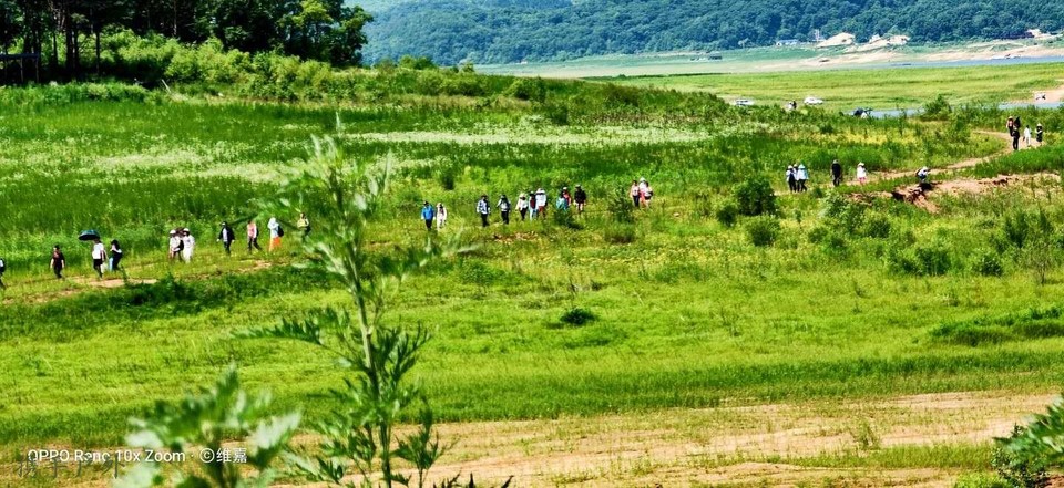 qd0Rmq_RPI-A7g_69Eb8aDUutW4ci4Qw1wQgKLyIEmdsFi5o90xyzI_kaP7Ss8O5