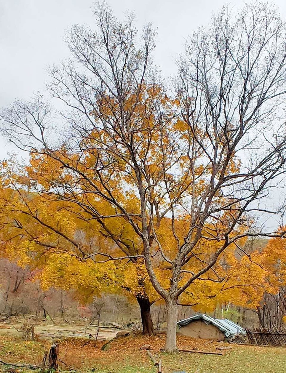 vlP57f35GZdbbtLzSlim0Uh0McTDFpk-vEJ3XkYIT38yucO0IQl_tP_w2c4ezF9E