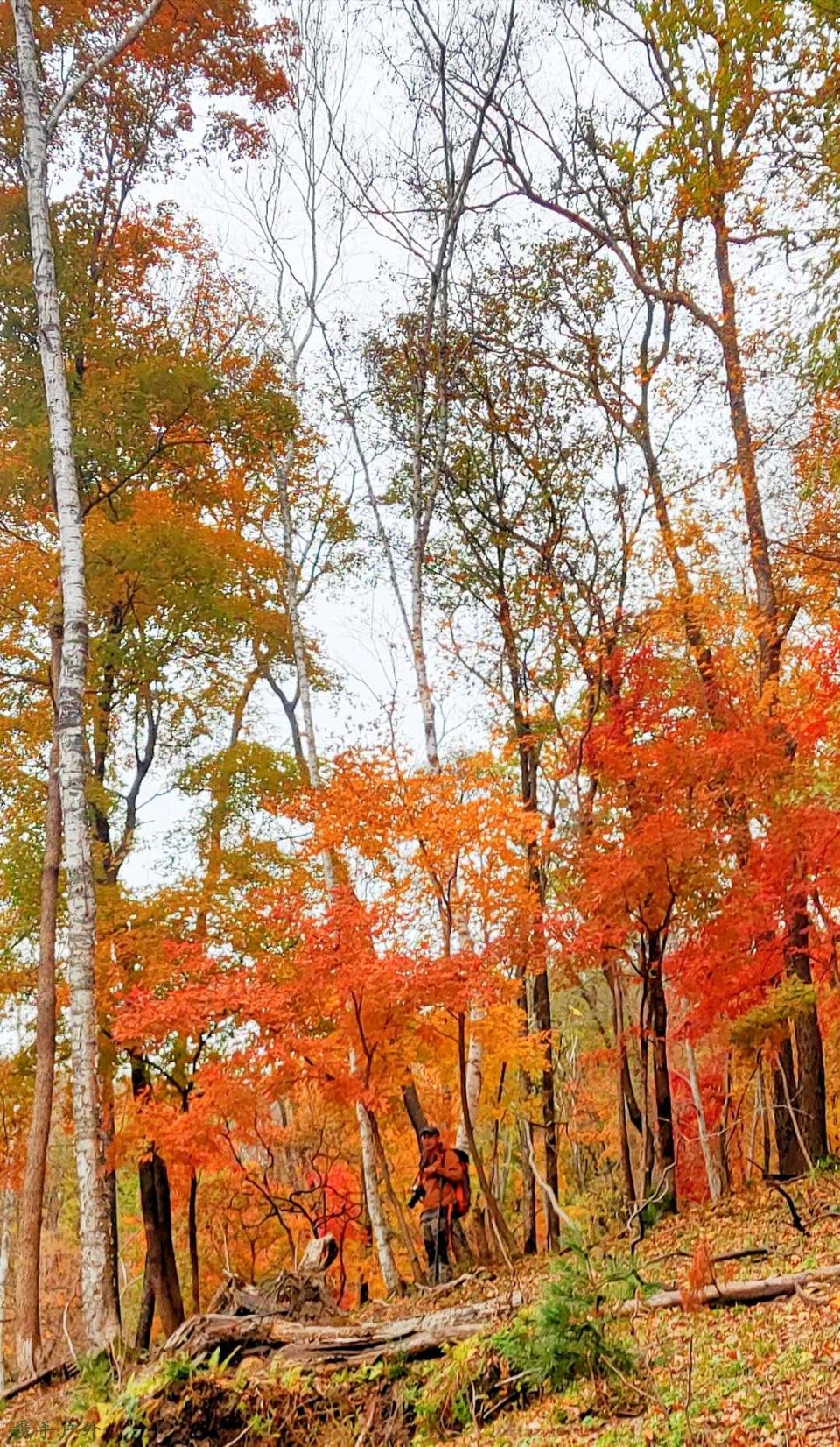 bv9IqZIJr0Ut601V624I-Z2NdsfyZE4_AAJwZipO2HSPrGqGUQ1Pfy4K4dyhunNt