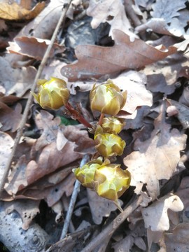 yE6JAYp_WSOAbcORfZ8vj-M0RIdAWZ9RnlDh37nejExiWqC84lTJ-vH4MFQnaueI