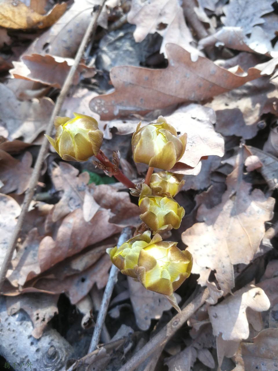 yE6JAYp_WSOAbcORfZ8vj-M0RIdAWZ9RnlDh37nejExiWqC84lTJ-vH4MFQnaueI